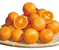 Ȃ
