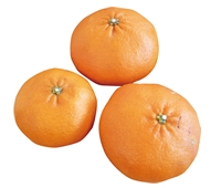 Õ