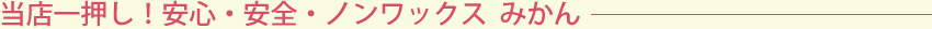 XꉟISESEmbNX  ݂